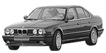 BMW E34 P114B Fault Code